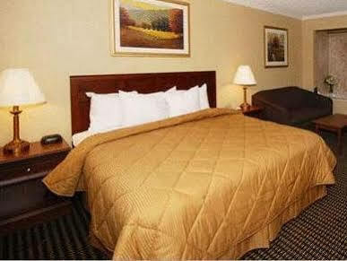 Comfort 3*